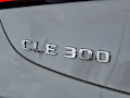 2026 Mercedes-Benz CLE CLE 300