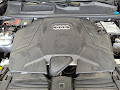 2025 Audi Q8 55 Premium Plus