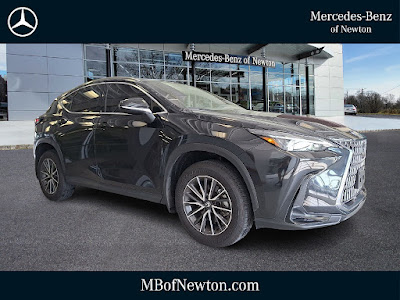 2026 Lexus NX