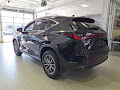 2026 Lexus NX 350 Base